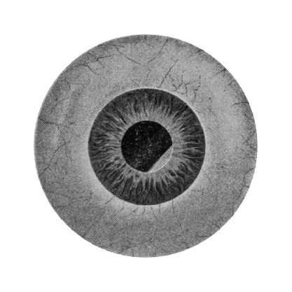 eye